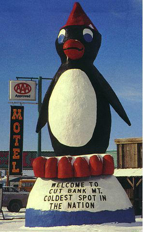 File:Penguin Cut Bank.jpg