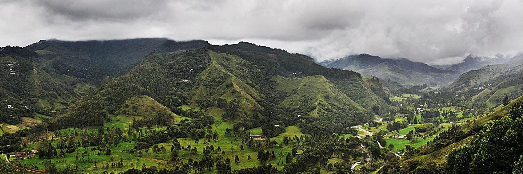 Valle de Cocora