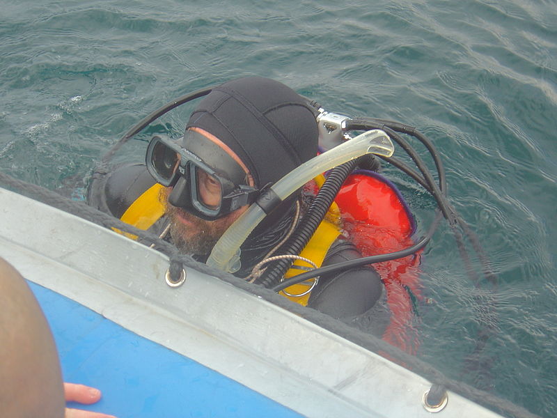 File:Diving from Blue Flash DSC04951.JPG