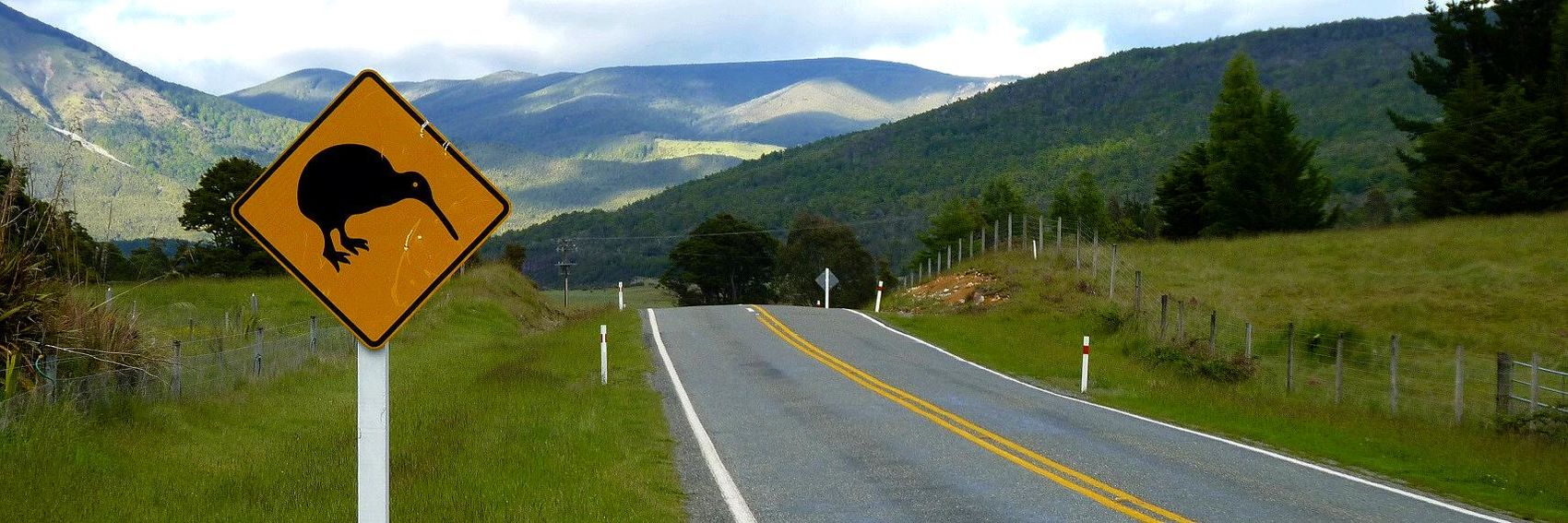 Driving in New Zealand