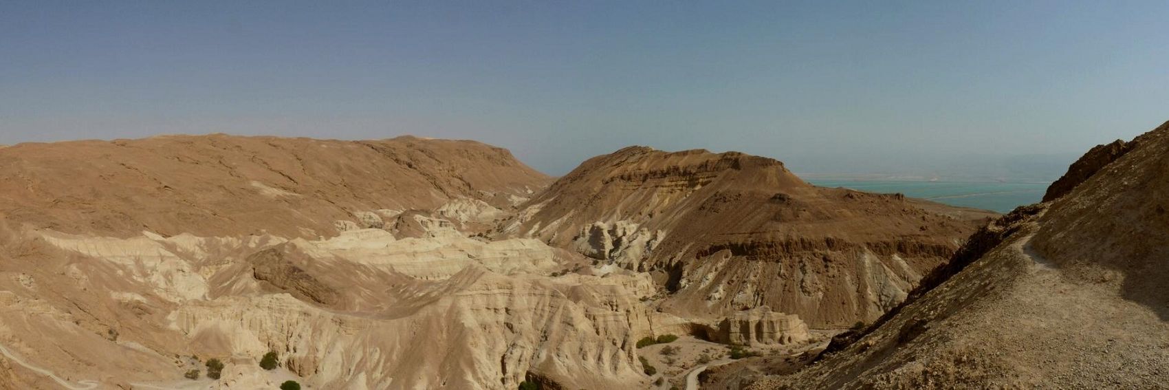 Ein Gedi