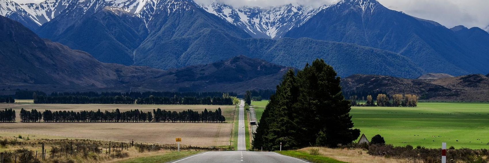 Driving in New Zealand