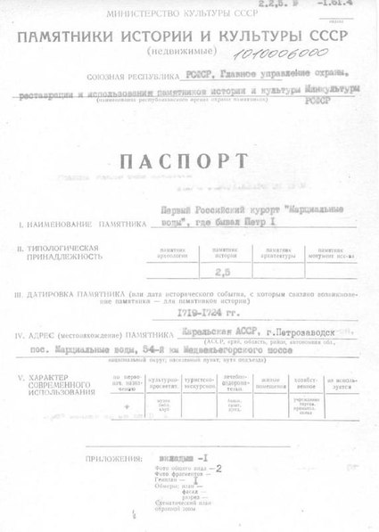 Файл:Passport 1010006000.pdf