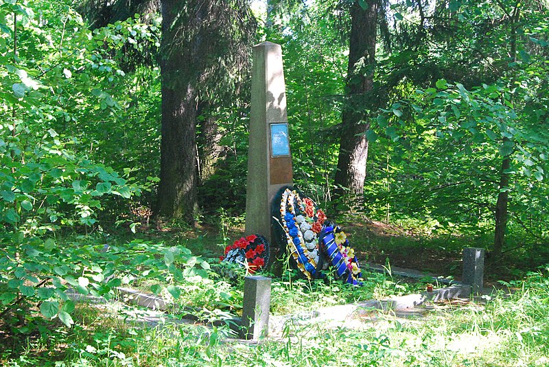 Файл:Kantorovich-grave-2 Svetogorsk-WV.jpg