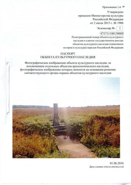 Файл:Passport 4700896000.pdf