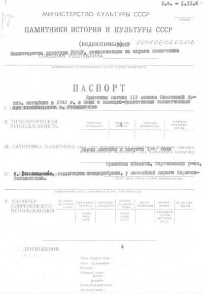 Файл:Passport 3200429000.pdf