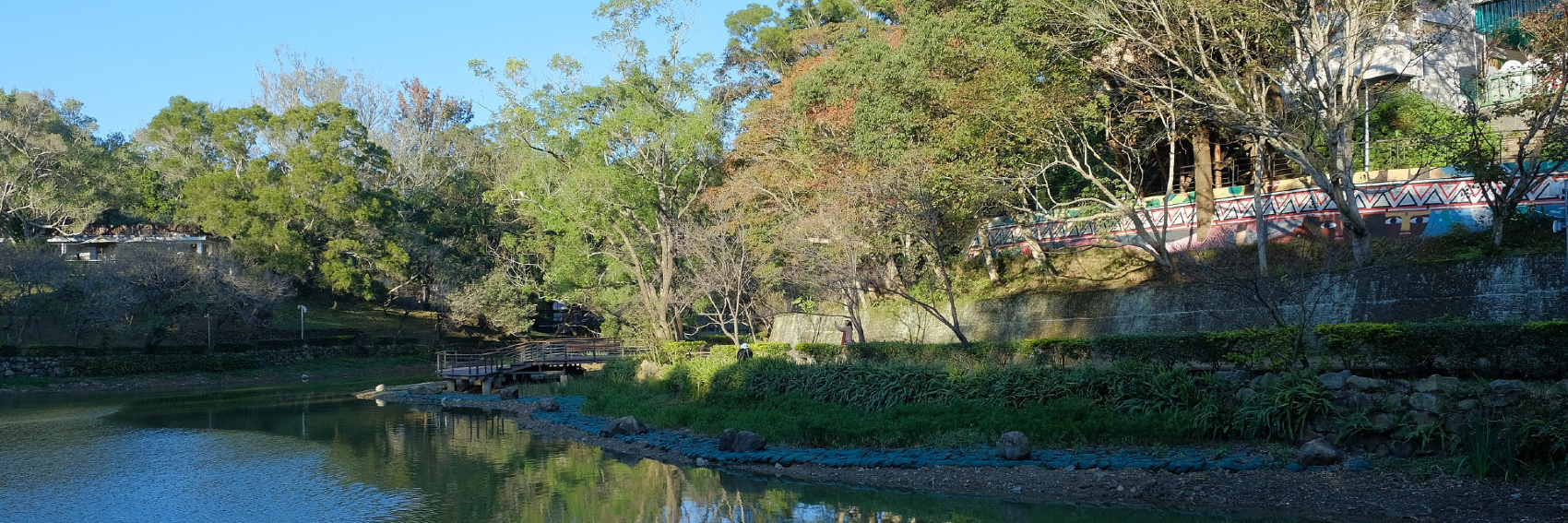 桃園/復興