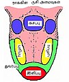 ருசி அமைவுகள்