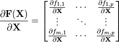 \frac{\partial \mathbf F (\mathbf X)} {\partial \mathbf{X}}=\begin{bmatrix} \frac{\partial f_{1,1}}{\partial \mathbf X} & \cdots & \frac{\partial f_{1,p}}{\partial \mathbf X}\\ \vdots & \ddots & \vdots\\ \frac{\partial f_{m,1}}{\partial \mathbf X} & \cdots & \frac{\partial f_{m,p}}{\partial \mathbf X}\\\end{bmatrix}