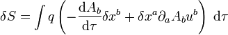 \delta S = \int q \left(- \frac{{\rm d}A_b}{{\rm d} \tau} \delta x^b + \delta x^a \partial_a A_b u^b \right)\; {\rm d} \tau