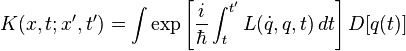 K (x, t;
La t de x, ')
= \int \eksp \left [xxx] D [q (t)]