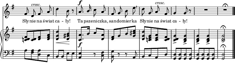 
sVarB = { <c! d fis>8[<c d> <d fis> <d fis a>] | <d g d'>4_\< <d gis b>\! | <c a'>8._\f[b'16] c8[<d, a'>] | <d fis>[g b <g cis e>] | % w1
<d g d'>[<c! e g> <c e a> <c d fis>] | <c d g>4_> <b d g>_> | <b d g>_> <b d g>_> | <b d g>2\fermata \bar "|." }

sVarA = { fis8 d^\markup { \small \italic "cresc." } fis a | d4 b8 r | a8.^\f \stemUp b16 \stemNeutral c8 a | fis g b e \breathe | % w1
d g, a^\markup { \small \italic "cresc." } fis | g4 g8 r | R2 | R2\fermata \bar "|." }

lVarA = \lyricmode { Sły -- nie na świat ca -- ły!
Ta psze -- ni -- czka, san -- do -- mier -- ka
Sły -- nie na świat ca -- ły! }

sVarCk = { a8[<fis a> <d a'> c] | b[b] e[e] | <a, e'>4 r8 <c fis> | <b g'> r r a | % w1
b[c a d] | <g, d'>[<g d'> <g d'> <g d'>] | <g d'>[<g d'> <g d'> <g d'>] | <g d'>2\fermata \bar "|." }

\paper { #(set-paper-size "a3")
 oddHeaderMarkup = "" evenHeaderMarkup = "" }
\header { tagline = ##f }
\version "2.18.2"
\score {
\midi {  }
\layout { line-width = #200
indent = 0\cm}
<<
  \new Staff { \clef "violin" \key g \major \time 2/4 \override Staff.TimeSignature #'transparent = ##t \autoBeamOff \relative e' { \sVarA } }
  \addlyrics { \small \lVarA }
  \new PianoStaff <<
    \new Staff = "up" { \clef "violin" \key g \major \time 2/4 \override Staff.TimeSignature #'transparent = ##t \relative b { \sVarB } }
    \new Staff = "down" { \clef "bass" \key g \major \time 2/4 \override Staff.TimeSignature #'transparent = ##t \relative g { \sVarCk } }
  >>
>> }