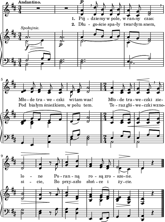 
sVarB = { << { \voiceOne a2.^\markup { \halign #-0.5 \small \italic "Spokojnie." } | <d, a'> | a'4_( d8[b] a[b]) | a_([g] <d fis>2) | <b d e>4( g'8[fis] e[fis]) } \new Voice { \voiceTwo d2_\f_\>( e4\!) | s2._\p | d2. | cis4 s2 | s4 <b d> cis } >> | \oneVoice d8([fis]) <d a'>2 \bar "||" \time 2/4 <cis a'>4^( <cis e>8[<cis fis>_\<]) | <cis g'>4^( <cis fis>8[<cis g'>\!]) | <d b'>2_\> | <d a'>4 r8\! a' | <g cis>4_\< <fis d>\! | <b, fis' a> << { \voiceOne <e g>8([<d fis>]) } \new Voice { \voiceTwo b4 } >> | \oneVoice <b d e>_\> <g cis e>\! | <fis d'> r \bar "|." }

sVarA = { R2.*2 | <d a'>4^\p \breathe <d d'>8 <d b'> <d a'> <d b'> | <cis a'> <cis g'> <d fis>2 \breathe | % w1
<d e>4 <d g>8 <d fis> <cis e> <cis fis> | << { \voiceOne d } \new Voice { \voiceTwo d } >> \oneVoice <d fis> <d a'>2 \bar "||" \time 2/4 <cis a'>4 <cis e>8 <cis fis> | <cis g'>4^\< <cis fis>8\! \breathe <cis g'> | <d b'>2^\> | <d a'>4 r8\! << { \voiceOne a' } \new Voice { \voiceTwo a } >> \oneVoice | <g cis>4^\> <fis d'>\! | <fis a> <e g>8 <d fis> | << { \voiceOne e2 | d4 } \new Voice { \voiceTwo d^\>( cis\!) | d } >> \oneVoice r | \bar "|." }

lVarA = \lyricmode { \set stanza = "1. " Pój -- dzie -- my w_po -- le, w_ran -- ny czas: Mło -- de tra -- we -- czki wi -- tam was! Mło -- de tra -- we -- czki zie -- lo -- ne Po -- ran -- ną ro -- są zro -- szo -- ne. }

lVarB = \lyricmode { \set stanza = "2. " Dłu -- go -- ście spa -- ły twar -- dym snem, Pod bia -- łym śnież -- kiem, w_po -- lu tem. Te -- raz głó -- we -- czki wzno -- si -- cie, Bo przy -- szło słoń -- ce i ży -- cie. }

sVarC = { << { \voiceOne fis2( a8[g]) } \new Voice { \voiceTwo b,2 cis4 } >> | \oneVoice <d fis>2. | <d fis>2. | << { \voiceOne e4( a2) } \new Voice { \voiceTwo d,2. } >> | % w1
\oneVoice g,4 e <a g'> | << { \voiceOne fis'8_([a]) } \new Voice { \voiceTwo d,4 } >> \oneVoice <d fis>2 \bar "||" \time 2/4 << { \voiceOne e4 g8[fis] | e4 a8[g] } \new Voice { \voiceTwo a,2 | a } >> | \oneVoice <d g>2 | <d fis>4 r8 a' | <e a>4 <d a'> | e, e8([fis]) g4 a | <d, a'> r \bar "|." }

\paper { #(set-paper-size "a4")
 oddHeaderMarkup = "" evenHeaderMarkup = "" }
\header { tagline = ##f }
\version "2.18.2"
\score {
\midi {  }
\layout { line-width = #140
indent = 0\cm}
<<
  \new Staff { \clef "violin" \key d \major \time 3/4 \tempo \markup { \small \bold "Andantino." } \autoBeamOff \relative d' { \sVarA } }
  \addlyrics { \small \lVarA }
  \addlyrics { \small \lVarB }
  \new PianoStaff <<
    \new Staff = "up" { \clef "violin" \key d \major \time 3/4 \relative a' { \sVarB } }
    \new Staff = "down" { \clef "bass" \key d \major \time 3/4 \relative f { \sVarC } }
  >>
>> }
