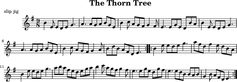 
X:104
T:The Thorn Tree
R:slip jig
M:9/8
L:1/8
K:Emin
|:B2E EDE G3|A3 AGA BGE|B2c AGF G2F|E3 EGE DBA|
  B2E EDE G3|A3 AGA BGE|B2c AGF G2A|BdB AFD E3:|
|:B2e ede g3|afd f2e dBA|B2e ede g3|aba fed ega|
  b2c' agf g2f|e3 ege dgf|e3 edB BAB|G2B AFD E3:|
