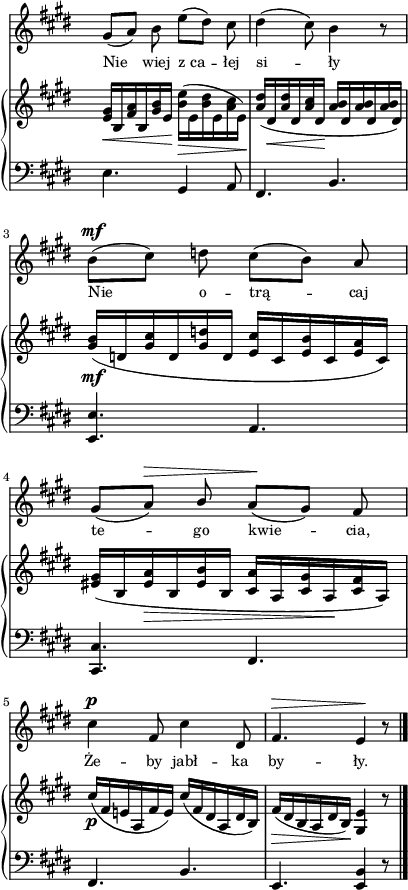 
sVarB = { <e gis>16_\<[b <fis' a> b, <gis' b> e\!]) \stemDown <b' e>_\>([e, <b' dis> e, <a cis> e\!]) \stemNeutral | <a dis>([dis,_\< <a' dis> dis, <a' cis> dis,\!] <a' b>[dis, <a' b> dis, <a' b> dis,]) | <gis b>_\mf([d <gis cis> d <gis d'> d] <e cis'>[cis <e b'> cis <e a> cis]) | % w1
<eis gis>([b <eis a>_\> b <eis b'> b] <cis a'>[a <cis gis'> a\! <cis fis> a]) | cis'_\p([fis, e! a, fis' e]) cis'([fis, dis a dis b]) | fis'_\>([dis b a dis b\!]) <gis e'>4 r8 \bar "|." }

sVarA = { gis8([a]) b e([dis]) cis | dis4( cis8) b4 r8 | b^\mf([cis]) d cis([b]) a | % w1
gis([a^\>]) \stemUp b \stemNeutral a\!([gis]) fis | cis'4^\p fis,8 cis'4 dis,8 | fis4.^\> e4\! r8 \bar "|." }

lVarA = \lyricmode { Nie wiej z_ca -- łej si -- ły Nie o -- trą -- caj te -- go kwie -- cia, Że -- by jabł -- ka by -- ły. }

sVarC = { e4. gis,4 a8 | fis4. b | <e, e'> a | % w1
<cis, cis'> fis | fis b | e, <e b'>4 r8 \bar "|." }

\paper { #(set-paper-size "a4")
 oddHeaderMarkup = "" evenHeaderMarkup = "" }
\header { tagline = ##f }
\version "2.18.2"
\score {
\midi {  }
\layout { line-width = #100
indent = 0\cm}
<<
  \new Staff { \clef "violin" \key e \major \time 6/8 \override Staff.TimeSignature #'transparent = ##t \autoBeamOff \relative f' { \sVarA } }
  \addlyrics { \small \lVarA }
  \new PianoStaff <<
    \new Staff = "up" { \clef "violin" \key e \major \time 6/8 \override Staff.TimeSignature #'transparent = ##t \relative b { \sVarB } }
    \new Staff = "down" { \clef "bass" \key e \major \time 6/8 \override Staff.TimeSignature #'transparent = ##t \relative f { \sVarC } }
  >>
>> }