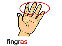 Þā fingras