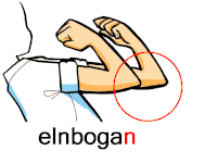 Þā elnbogan