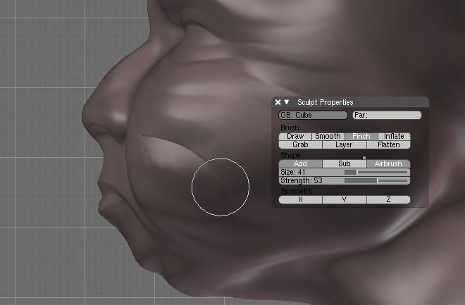 Datei:Blender3D Sculpt Narbe gr03.jpg