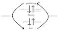 Vorschaubild der Version vom 09:32, 11. Dez. 2004