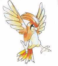 File:Pidgeotto RB.jpg