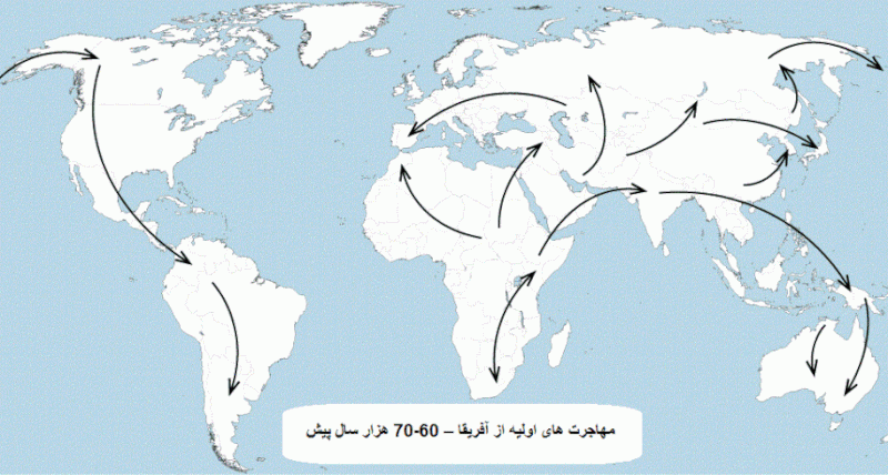 پرونده:First migrations.gif