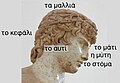 Modern greek head.jpg