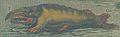 F. az angol bálna harminc rőf hosszú. Nincs foga, de a nyelve hétrőfnyi. [A térképen mellső és kisebb hátsó lábakkal ábrázolták.]