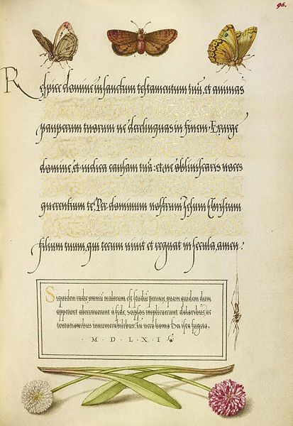 Fájl:Mira calligraphiae I. fol 96.JPG