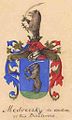 A család tagjainál fellelhető címerek általánosságban barna medvét ábrázolnak, de ezek a címerek mind jócskán a hanyatló heraldika korából valók. Készítésük ideje a XIX. századra esik, némely megye levéltárában is találni ilyen címert.[2]