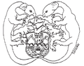 A selmeci jogkönyv belső címlapjának címere (1520)[7]
