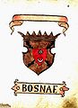 Bosznia címere a Fojnicai címerkönyvben. Két részből áll: alul Bosznia csonkolt ágai rajta szerecsenfejekkel, mely Ulrich Richental 1414-18 közé datált címerkönyvéből való, aki valószínűleg magyar forrásból merítette, felül pedig Illíria pajzsa csillaggal és félholddal, mely a 16. század végének ragusai mozgalmára, az illirizmusra utal. A címer azt fejezi ki, hogy Illíria szíve Boszniában van.