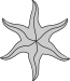 sugaras csillag (6 ágú)