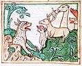 Párduc egy angol bestiáriumból (1255-1265 k.)