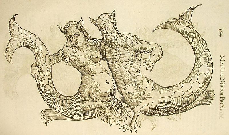 Fájl:Női és férfisellő, Ulisse Aldrovandi, Monstrorum historia. Bologna, 1642. 354.jpg