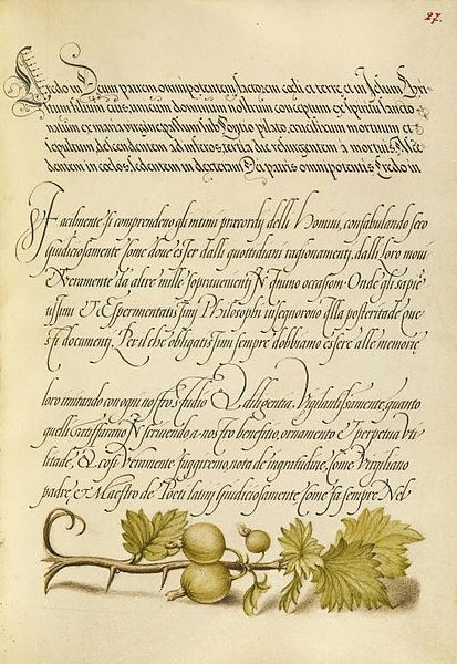 Fájl:Mira calligraphiae I. fol 27.JPG