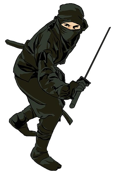 Berkas:Ninja dev.jpg