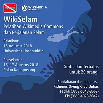 Poster WikiSelam.jpeg