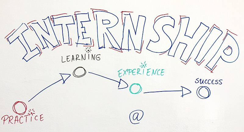 Датотека:Internship-practice-learning-experience-success-551888.jpg