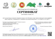 MinemTatarstan-certificate-RU.pdf