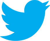 Файл:Twitter bird logo 2012.svg.png