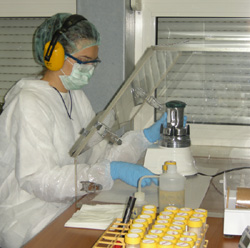 File:DNA-AnalysisICMP Lab.jpg