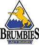 Superrugbyspan Brumbies