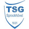 Lêer:TSG Sprockhoevel.png