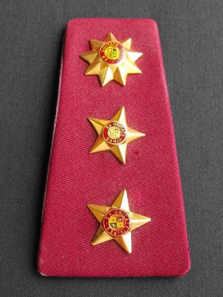 Lêer:SAMS Colonel shoulder board rank.jpg