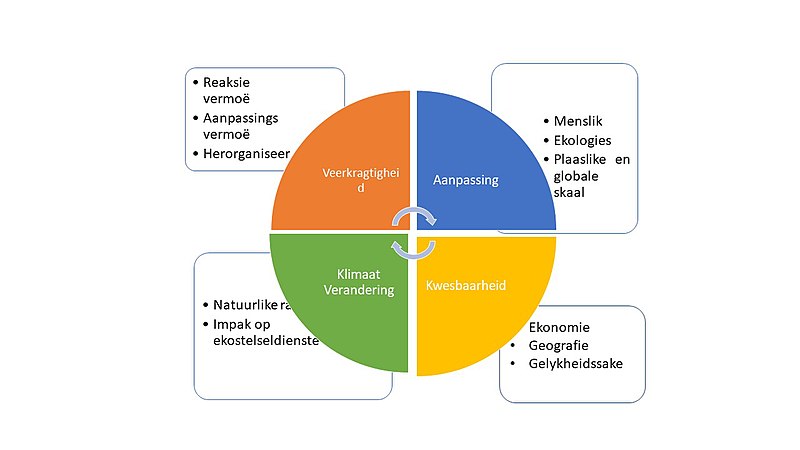 Lêer:GrafiekVeerkragtigheid.jpg