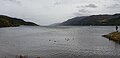 Uitsig oor Loch Ness, Fort Augustus, Skotland.jpg
