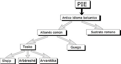 Eboluzión-albanés.JPG