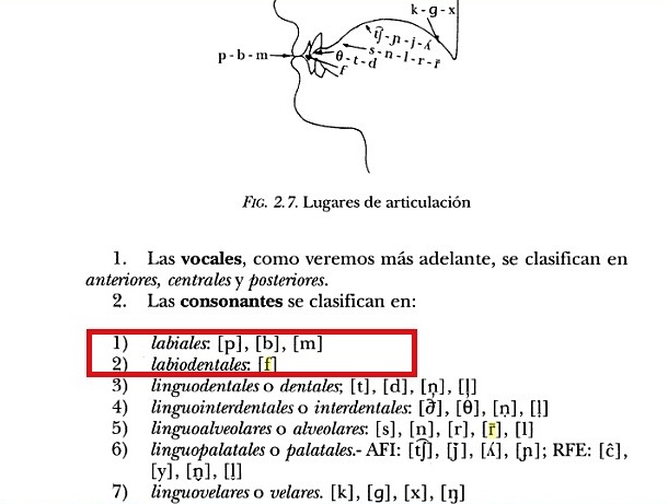 ملف:Labiales & Labiodentales.jpg