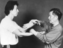 ملف:Wing chun.jpg