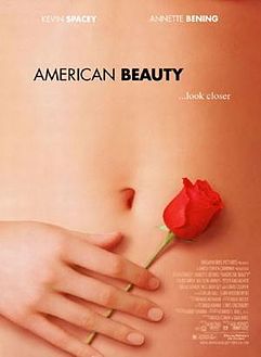 الجمال الأمريكي (غلاف الفيلم).JPG